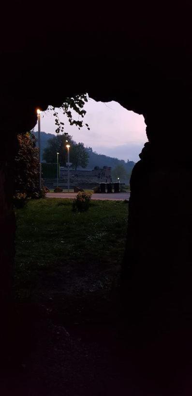 Ferienwohnung Am Geysirzentrum Andernach Exterior foto