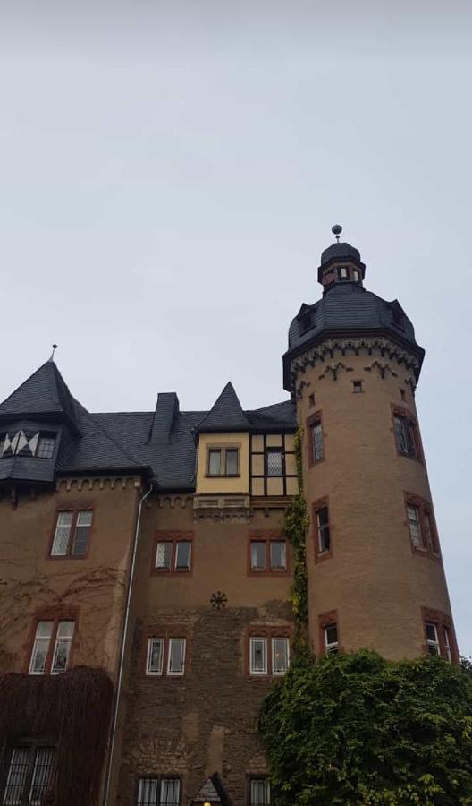 Ferienwohnung Am Geysirzentrum Andernach Exterior foto